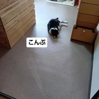画像2923