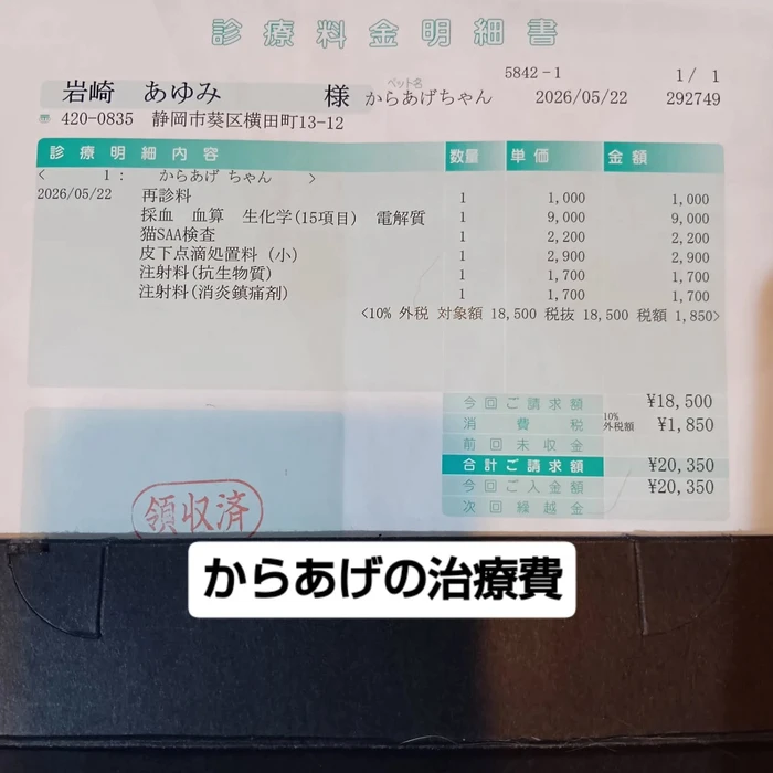 画像2926