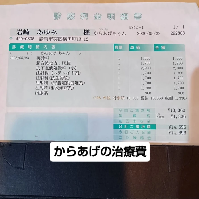 画像2927