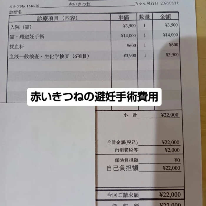画像2929