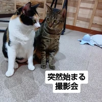 画像2934
