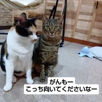 画像2935
