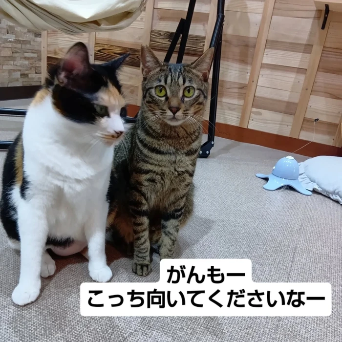 画像2935