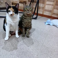 画像2936