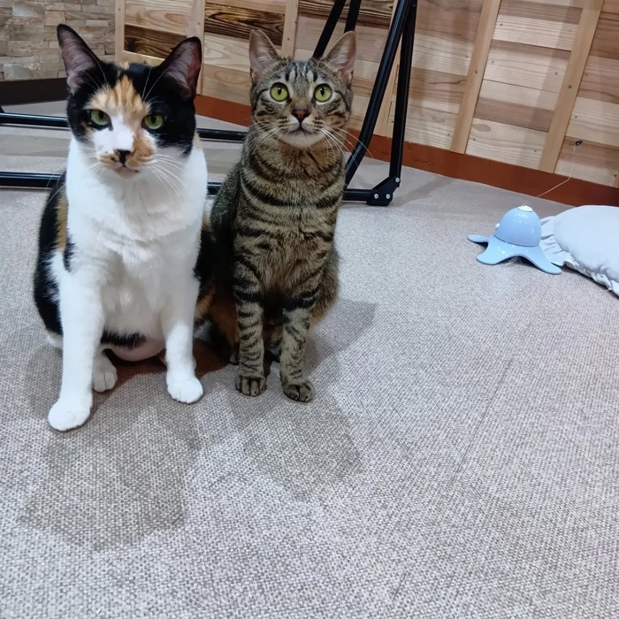 画像2936