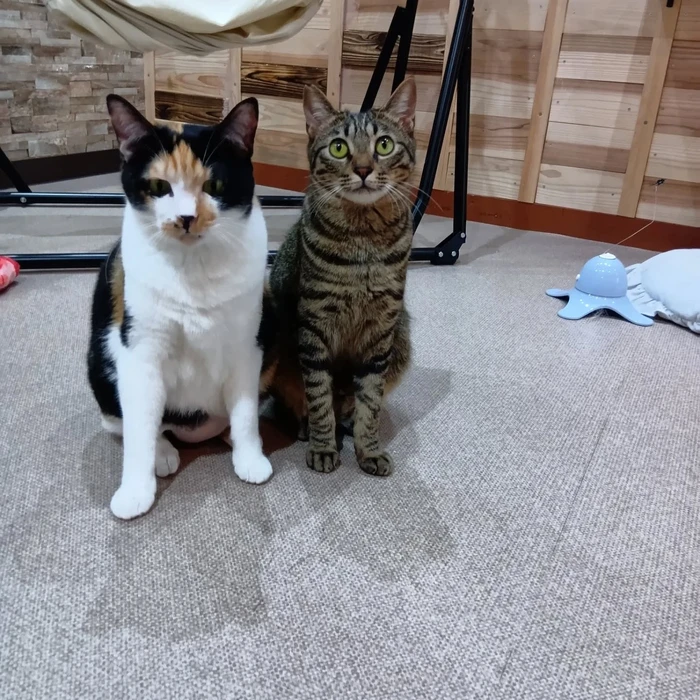 画像2937