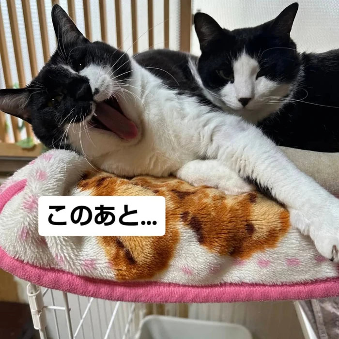 画像2967