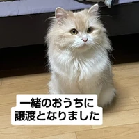 画像2970