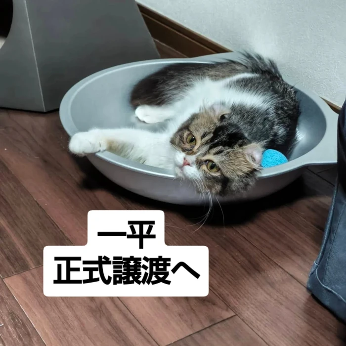 画像2979