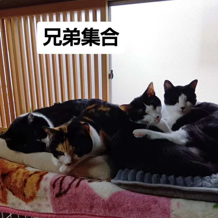 画像2983