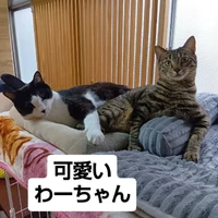 画像2989