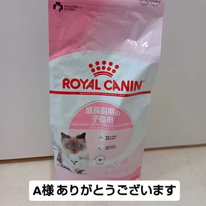画像3004