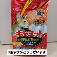 画像3005