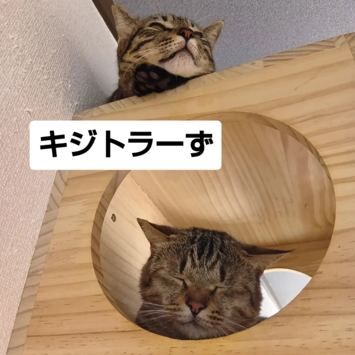 画像3015