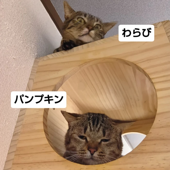画像3016