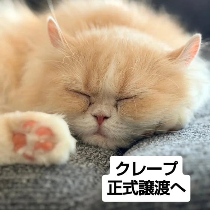 画像3020