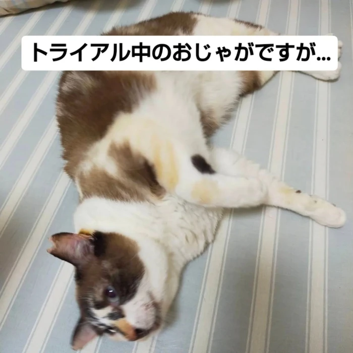 画像3026