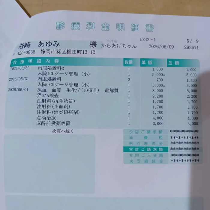 画像3036