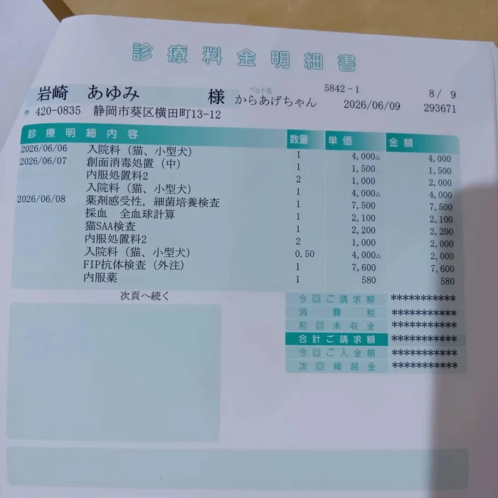 画像3039