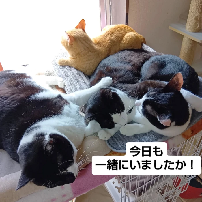 画像3044