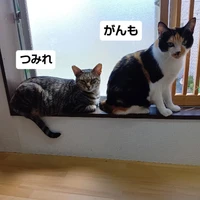 画像3049