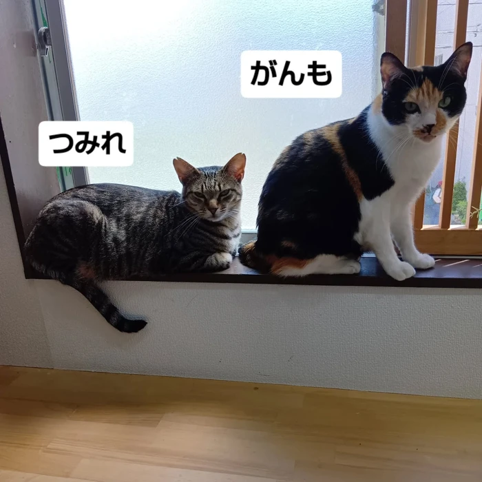 画像3049