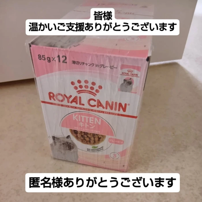 画像3051