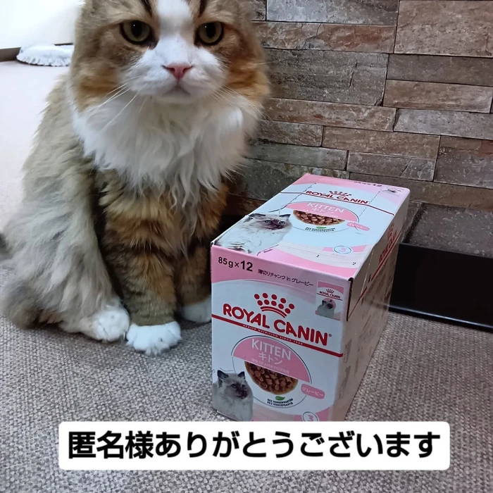 画像3053