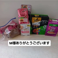 画像3055