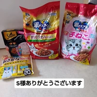 画像3056