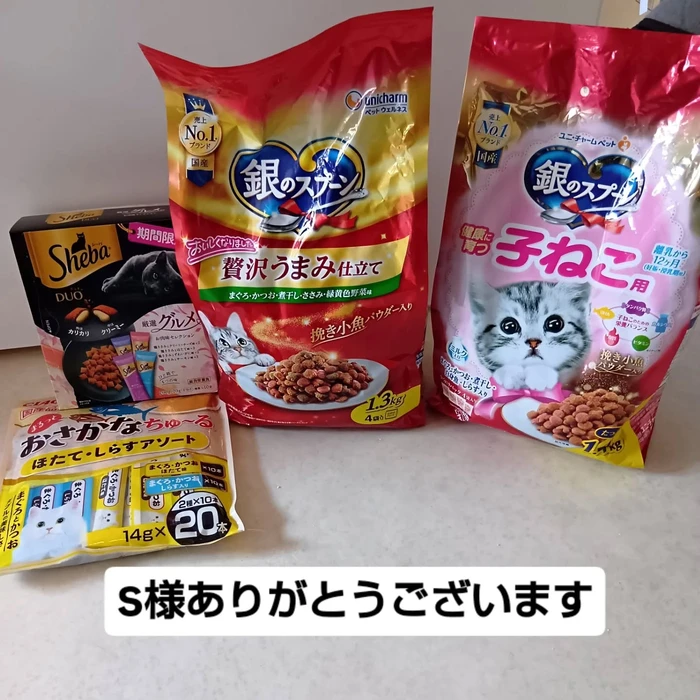 画像3056