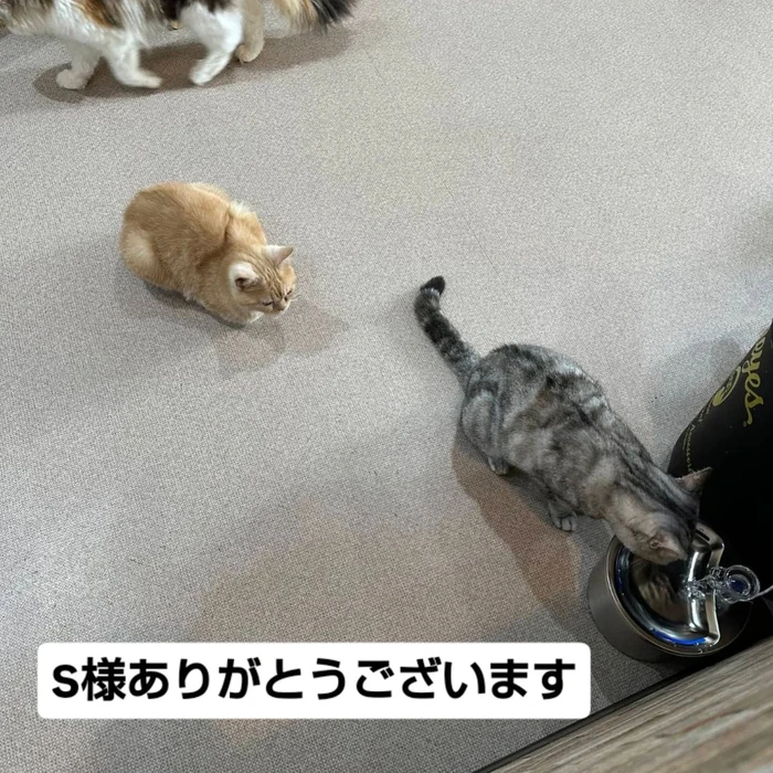 画像3058