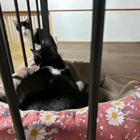 画像307
