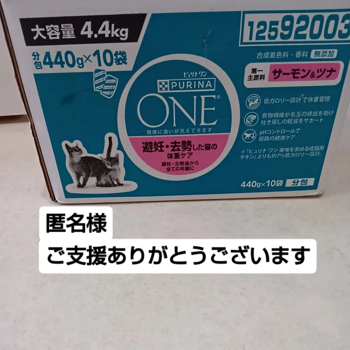 画像3073