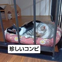 画像3080