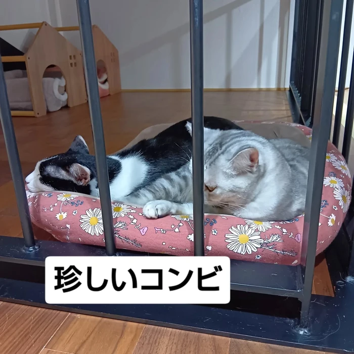 画像3080