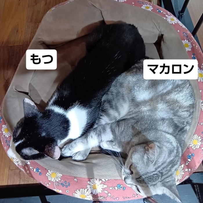 画像3081