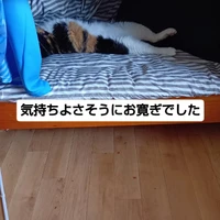 画像3099