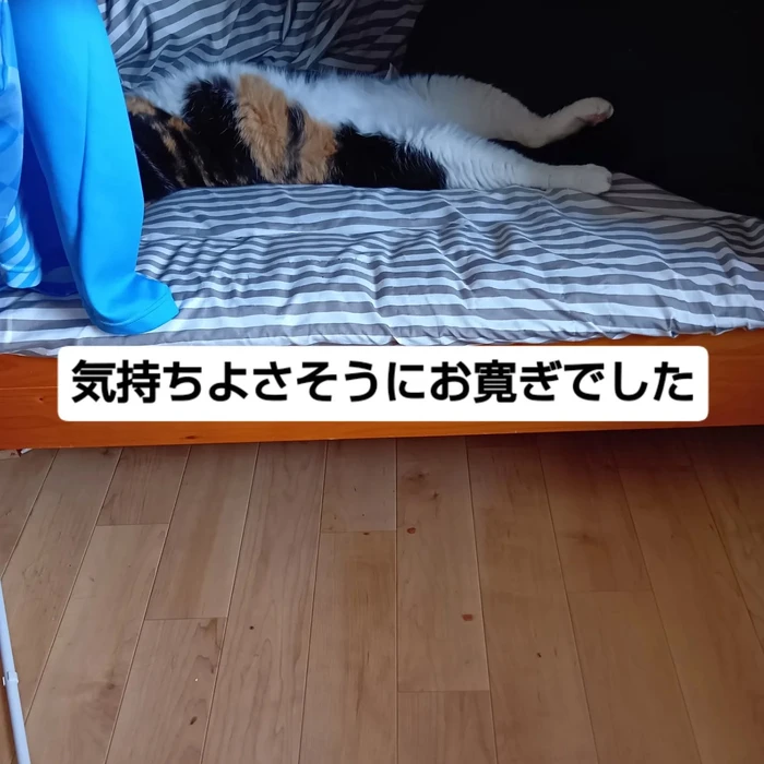 画像3099