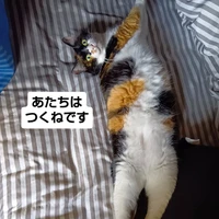 画像3100
