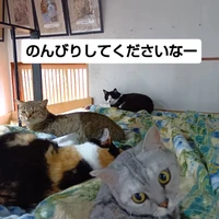 画像3116