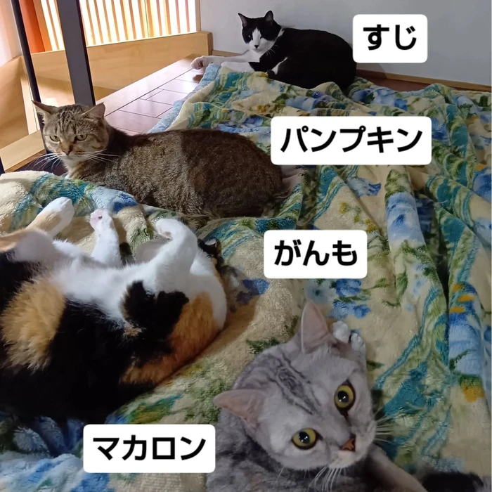 画像3117