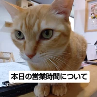 画像3119
