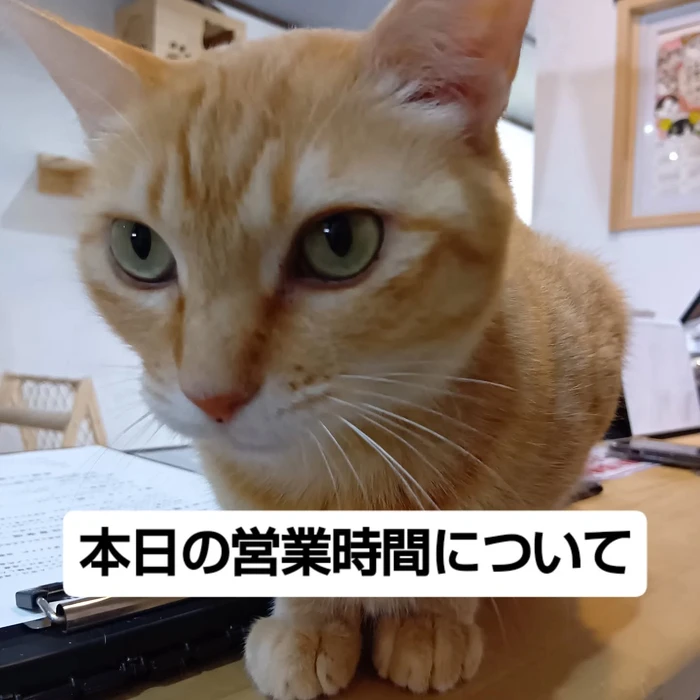 画像3119