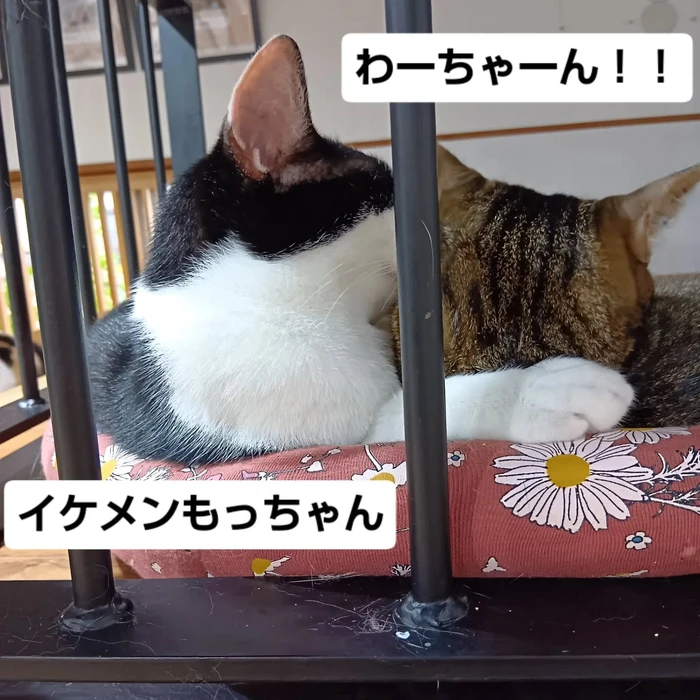 画像3131