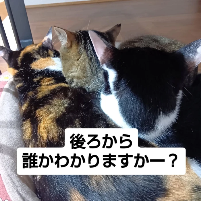 画像3135