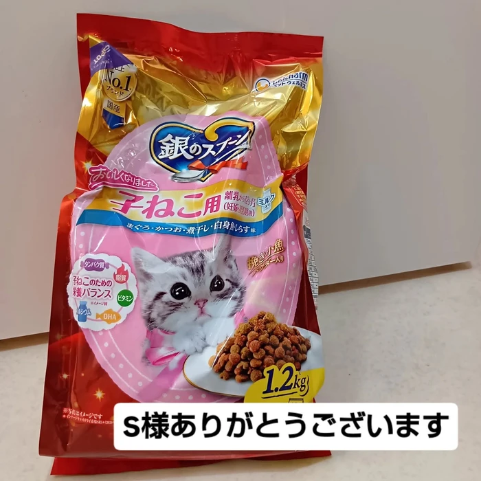 画像3144