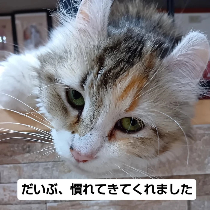 画像3149