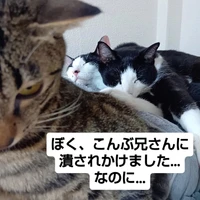 画像3167