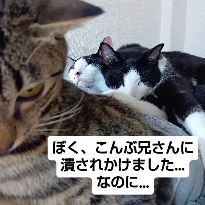 画像3167
